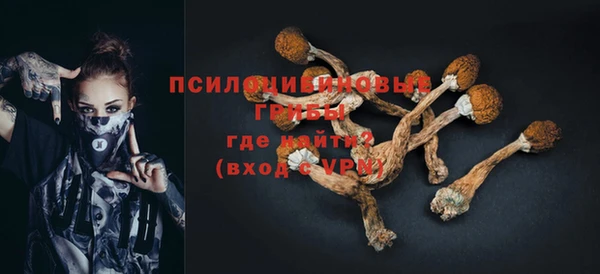 мяу мяу мука Арсеньев