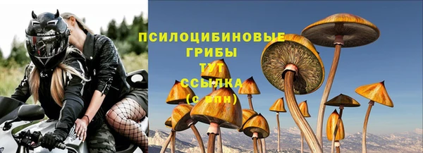 мяу мяу мука Арсеньев