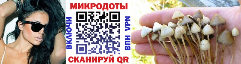 Галлюциногенные грибы MAGIC MUSHROOMS  Трёхгорный 